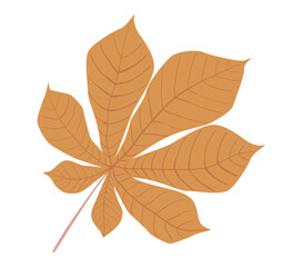 Autumn leaf from Simple fall leaf Flat vector illustration on white background