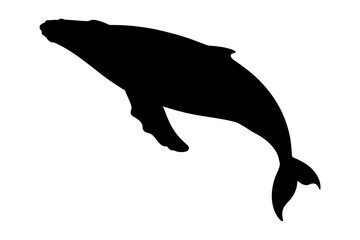 Whale Silhouette Vector Illustration , Animal Silhouette Vector