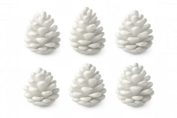 3d rendering of six white pine cones isolated on transparent background, perfect for winter holiday projects