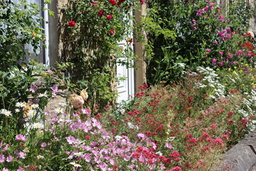 Colourful flowers surrounding the front of a cottage in summer