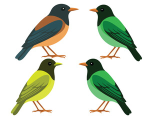 Fototapeta premium Birds