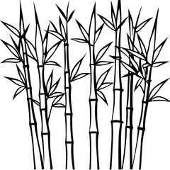 Obraz premium bamboo vector illustration