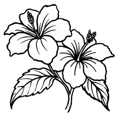 black and white flower