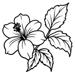 black and white flower