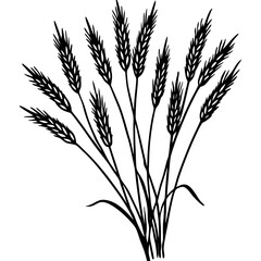 Fototapeta premium ears of wheat