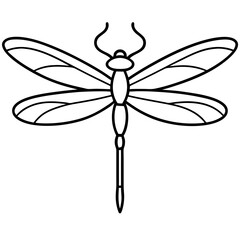 dragonfly vector illustration
