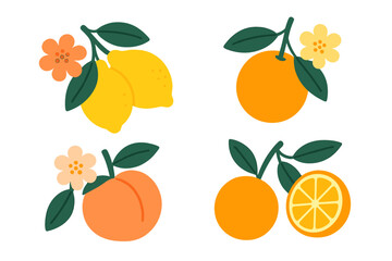 Fruit collection vector illustration. Set of lemon, orange, peach. Citrus with leaves and flowers. Modern cartoon flat icon design. Fresh organic summer food graphic elements.
