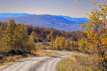 Fall in Forrolhogna National Park, Norway
