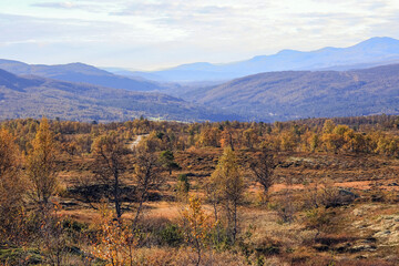 Fall in Forrolhogna National Park, Norway