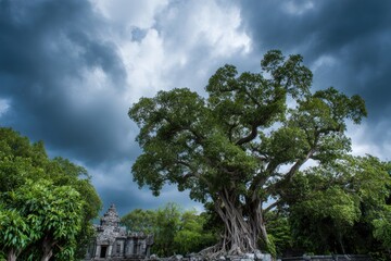 Stormy sky behind an ancient banyan tree temple, dramatic composition
