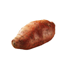 Single Raw Sweet Potato Isolated on Black Background