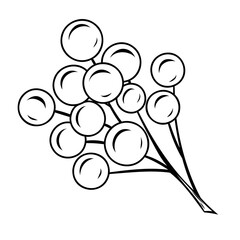Monochrome botanical Christmas berries. Graphic line art hand drawn ink black and white vector illustration. Isolated object. Good for postcards, posters, stickers, prints
