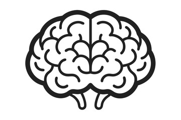 human brain vector