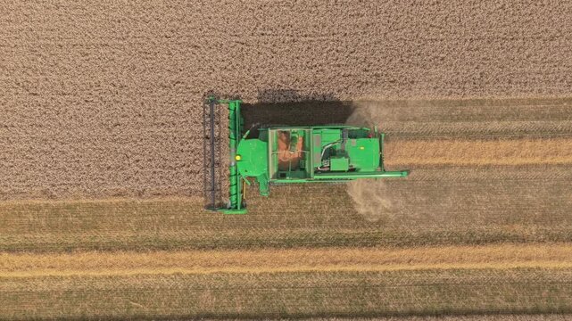 Overhead pass: combine mowing cereal crop on arable land, Netherlands