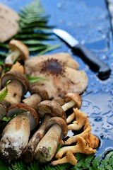 Jadalne grzyby z lasu leżą na mokrym stoliku z nożem. Czyszczenie grzybów po grzybobraniu