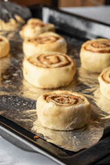 Raw cinnabon buns on a baking sheet. Making cinnamon rolls process. Cinnabon preparation