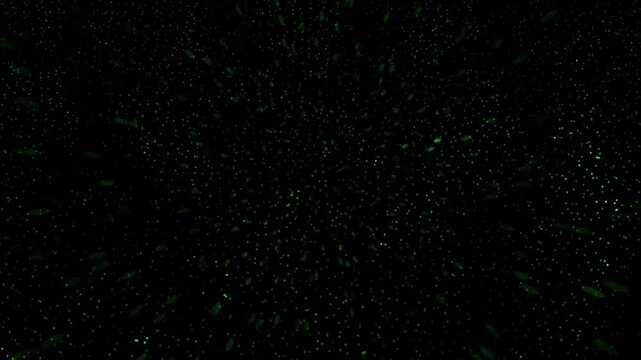 Abstract Green Particle Burst on Black Background Dynamic Digital Animation Futuristic Design Concept for Technology Science and Data Visualization Creative Visuals for Motion Graphics and V F X