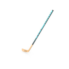 Ice Hockey Stick Equipment Sports Winter Game 3d Png