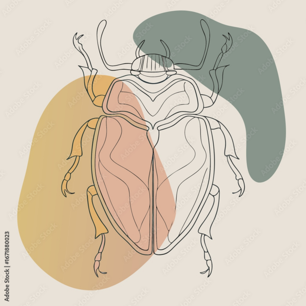 Poster minimilist outlined beetle illustration with abstract color shapes in the background on a light beig