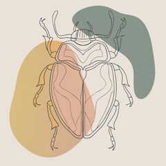 Minimilist outlined beetle illustration with abstract color shapes in the background on a light beige canvas vector