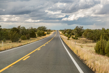 Endlose Straße in Buschlandschaft