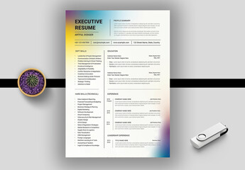 Executive Resume Template