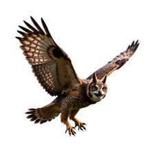 Powerful Eagle Owl in Flight, Isolated on White