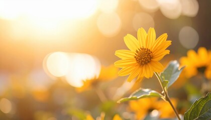 a radiant sunflower basking in the warm, golden glow of the sun, embodying the essence of summer