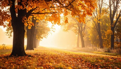 Naklejka premium golden autumn scene of a tree-lined path filled with fallen leaves bathed in soft sunlight, creating a beautiful landscape