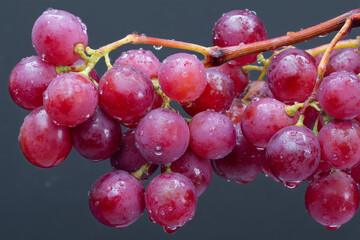 Red grapes with water drops on grey background