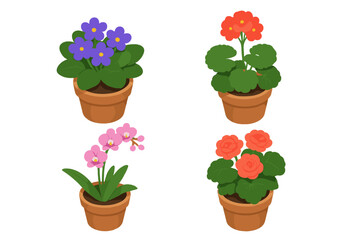Isometric plant icon set. Flowering potted plants collection with African violet, geranium, orchid, begonia. Vector houseplant illustration for garden or home decor concept.