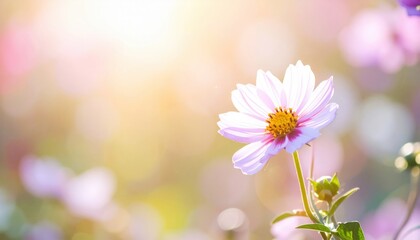 Obraz premium Delicate flower blooming in a colorful nature field capturing the essence of spring sunshine vibrant colors macro photography