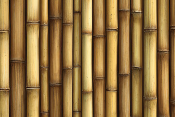 Close up of many brown bamboo stalks a natural textured background