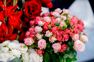 Red and white roses in beautiful bouquets, the beauty of flowers 