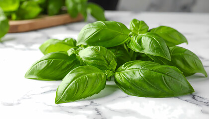 Obraz premium Aromatic fresh green basil herb on white marble background. closeup of vibrant leaf, perfect cooking ingredient for healthy food and delicious Italian recipes