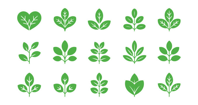 Set of 15 green leaf icons with varied shapes and vein details, ideal for eco branding, nature themes, sustainability, and botanical design