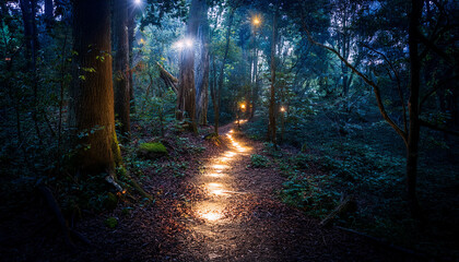 Obraz premium enchanted forest trail a path lit by glowing lights through the dark wilderness