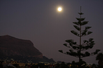 evocative image of a full moon at night