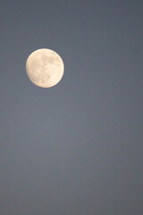 evocative image of a full moon at night