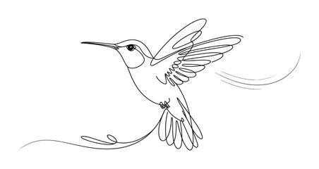 Fototapeta premium Minimalist line drawing of a hummingbird in flight with decorative swirls, symbolizing elegance, motion, freedom, and artistic expression