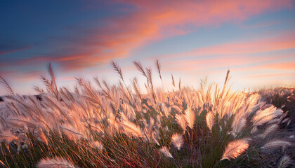 a field of glowing grass at sunset under a pastel sky