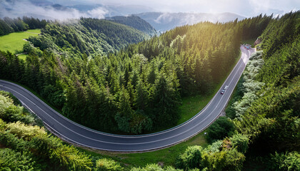 serpentine road through lush forest