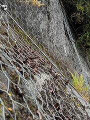 Maya en la montaña sobre piedra para protejer