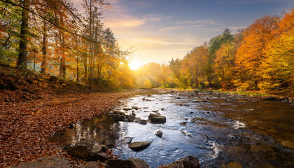 autumnal serenity river in forest at sunset