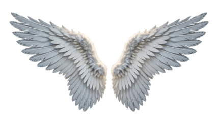 Majestic pair of detailed white angel wings with soft feathers spread wide in a symmetrical display isolated on transparent background