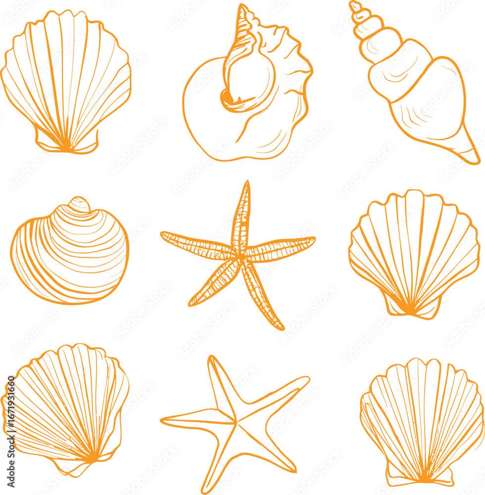 Poster illustration of various seashells and starfish arranged in a grid pattern on white background