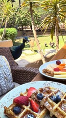 Golden waffles garnished with fresh strawberries and blueberries, sprinkled with powdered sugar, resting on wooden surface near tropical garden wildlife