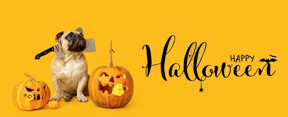 Halloween banner with cute bulldog and pumpkins on yellow background