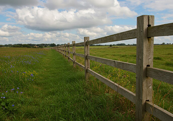 Fototapeta premium Wooden fence stretches across lush green field with wildflowers under cloudy sky