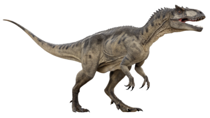 Allosaurus isolated on transparent PNG background